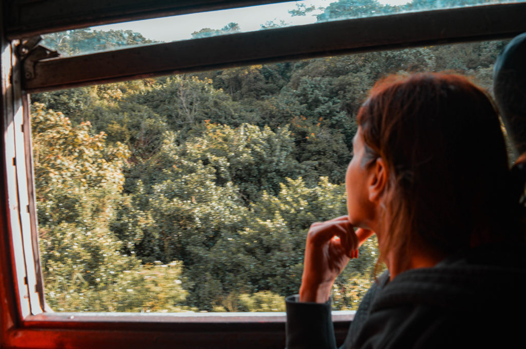 paesaggio treno sri lanka