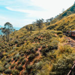 Treno sri lanka
