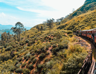 Treno sri lanka