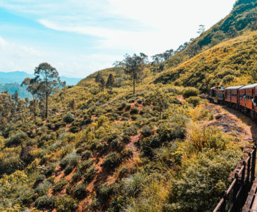 Treno sri lanka