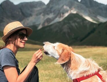 trentino con il cane