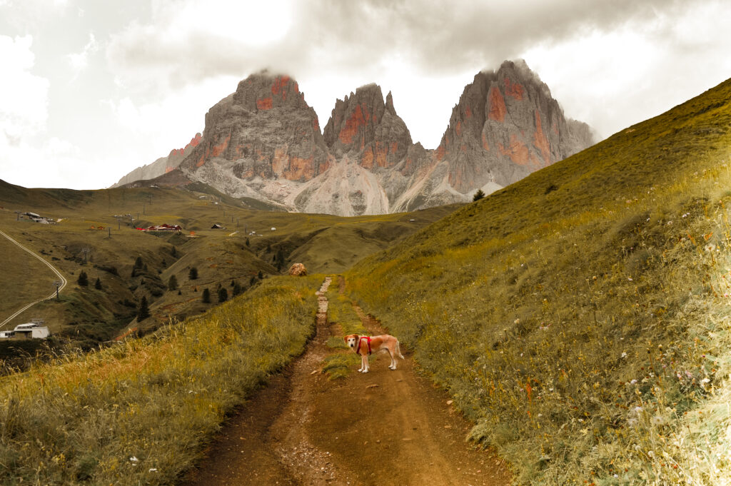 trentino trekking passo sella 