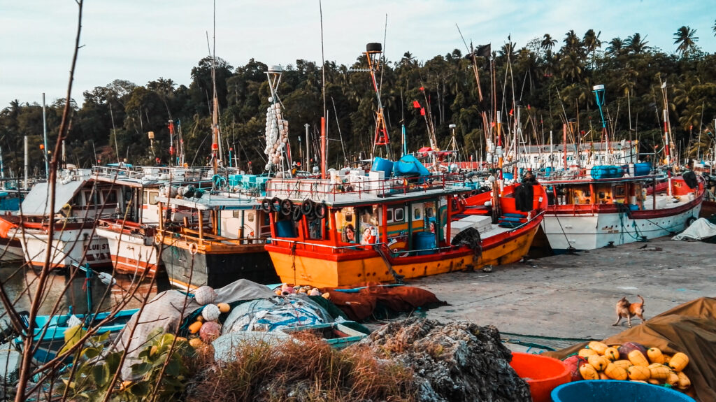 mirissa whalewatching