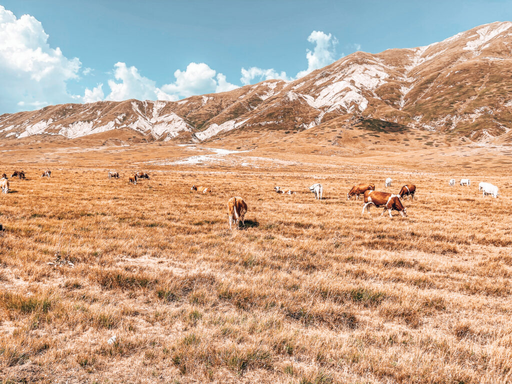 ampo imperatore abruzzo